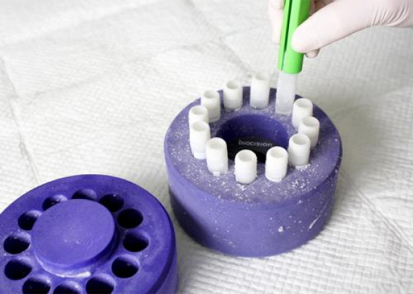 CryoCeps� - Greifzange f�r Kryor�hrchen