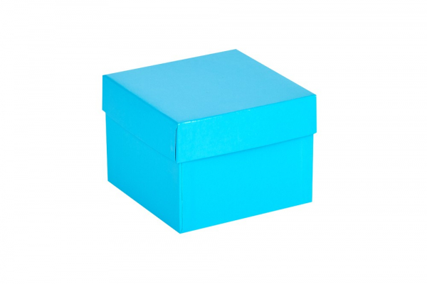 Cryo-Box 133 x 133mm, H�he 75 mm (wasserfest)