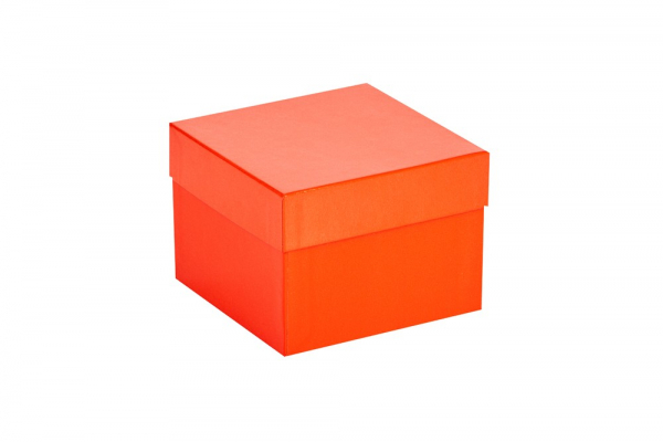 Cryo-Box 133 x 133mm, H�he 75 mm (wasserfest)