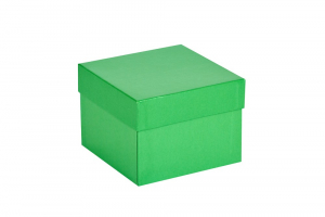 Cryo-Box 136 x 136mm, H�he 100 mm (wasserabweisend)